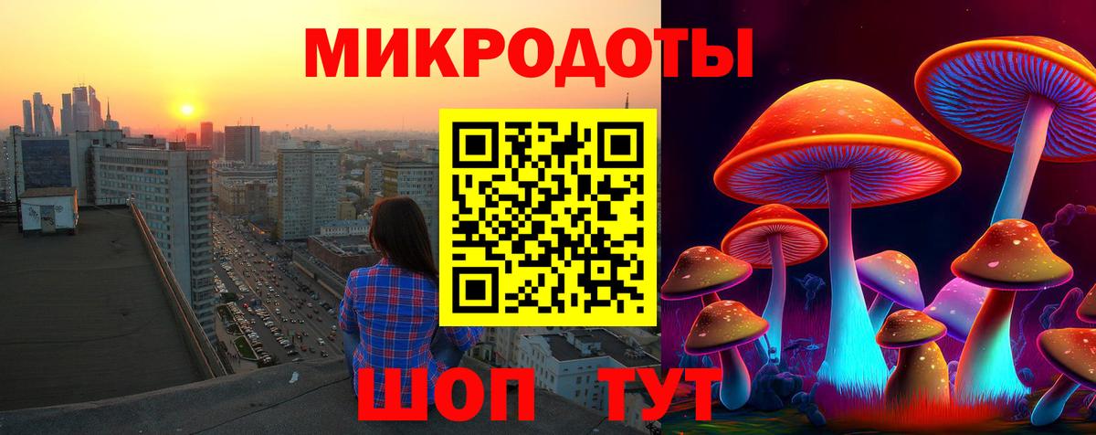 Псилоцибиновые грибы мухоморы Ейск