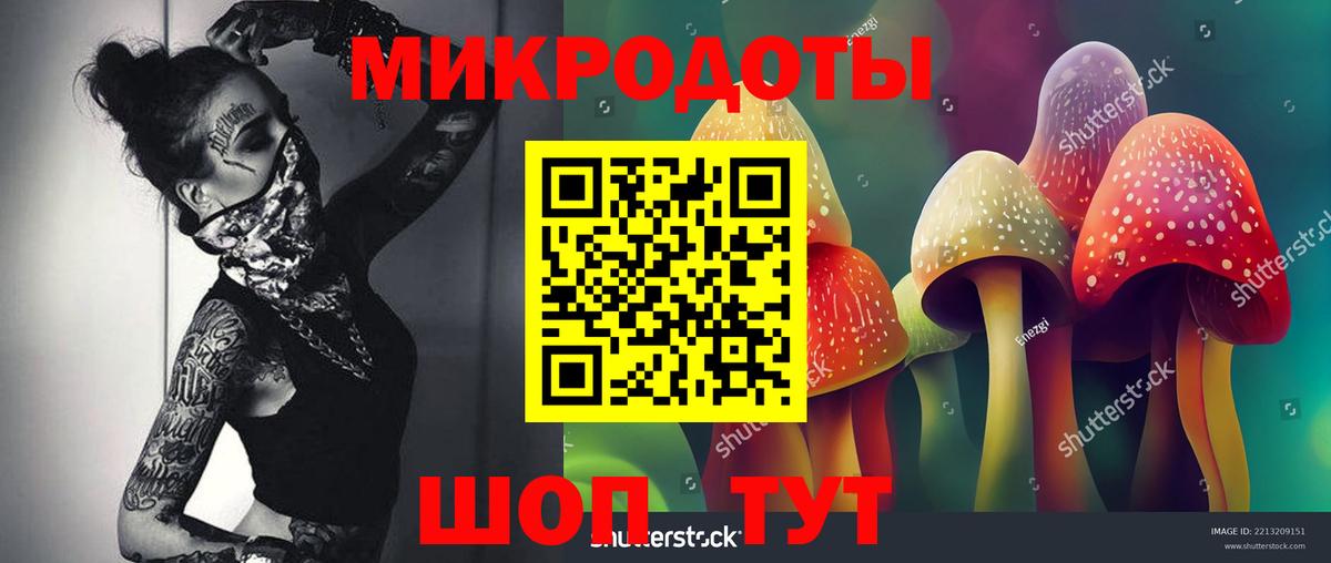 Ейск  Псилоцибиновые грибы мухоморы  Вход с VPN 